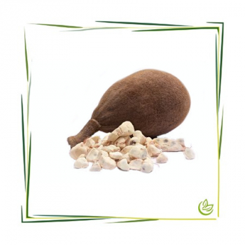 Baobab Pulver BIO 100 g